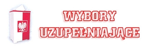 Wybory 2024EU