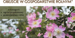 Konkurs „Na najpiękniejszy ogród przydomowy, obejście w gospodarstwie rolnym”