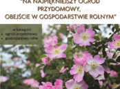 Konkurs „Na najpiękniejszy ogród przydomowy, obejście w gospodarstwie rolnym”
