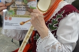  Gmina Jordanów